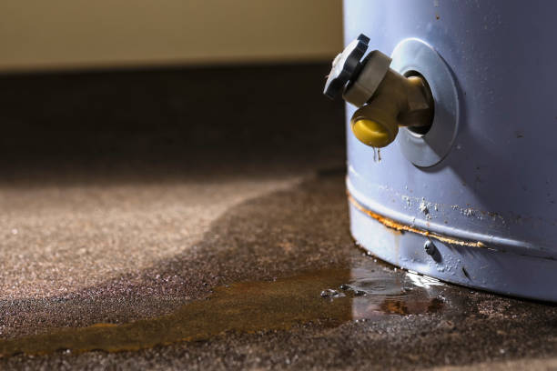 Best 24/7 water damage repair  in Colfax, WI