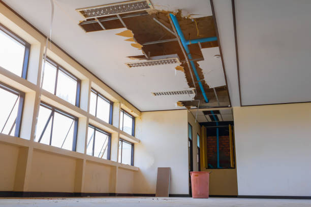 Best Ceiling water damage repair  in Colfax, WI