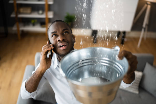 Best Water damage restoration services  in Colfax, WI